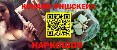 гидра Гатчина
