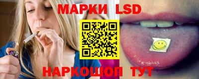 гидра Гатчина