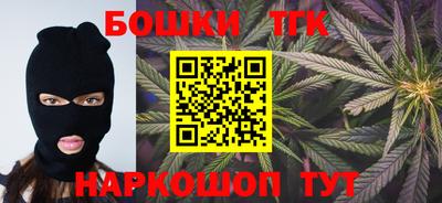 гидра Гатчина