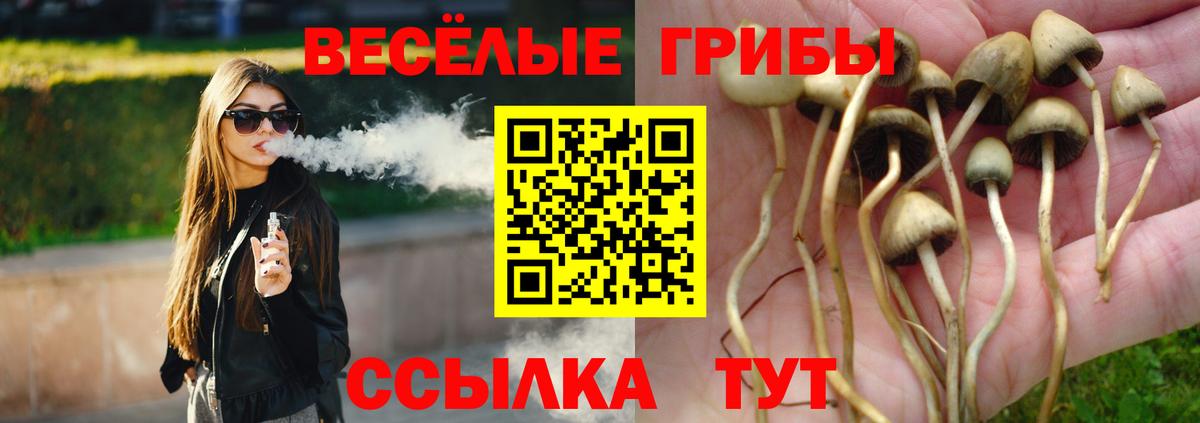Саранск  Псилоцибиновые грибы мицелий  Вход с VPN  Галлюциногенные грибы Magic Shrooms 